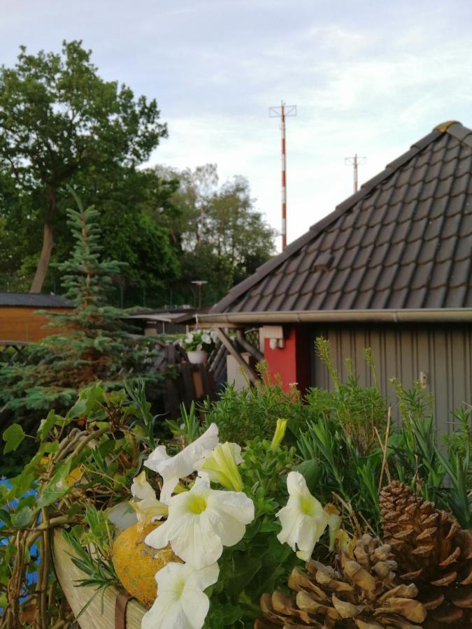 Backstage Kiel-holtenau * Kiel